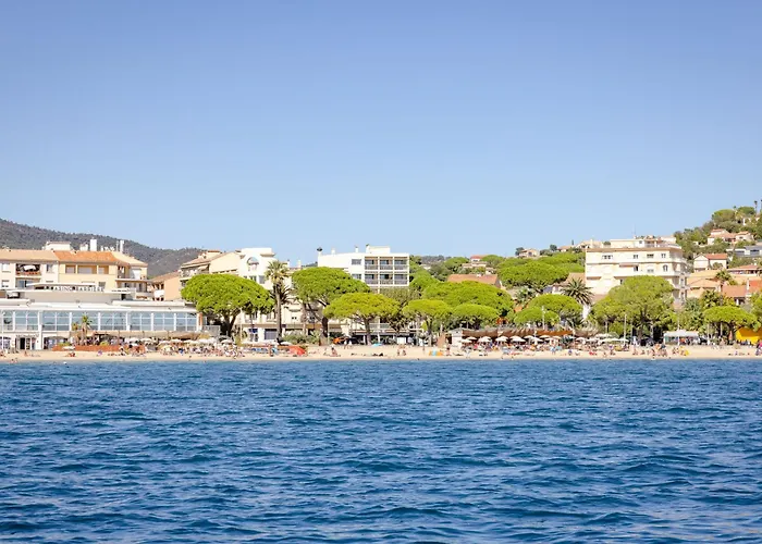 Les Pins Dores-1 By Interhome Apartment